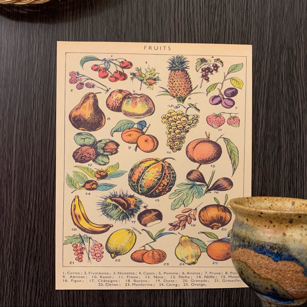 Vintage Adolphe Millot Scientific Fruit Chart Print 8x10